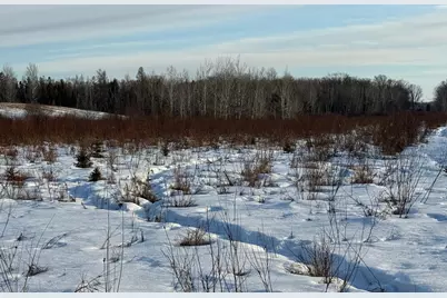 Tbd Scotch Pine Road, Finlayson, MN 55735 - Photo 5