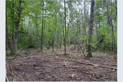 Lot 5 Butternut Road, Brainerd, MN 56401 - Photo 27