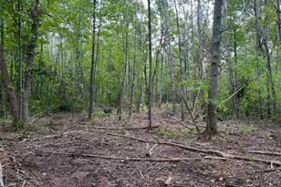 Lot 5 Butternut Rd, Brainerd, MN 56401 - Photo 27