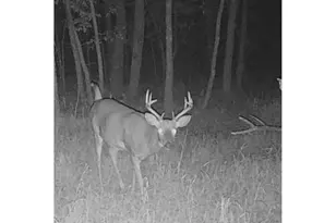 Lot 5 Butternut Rd, Brainerd, MN 56401 - Photo 3