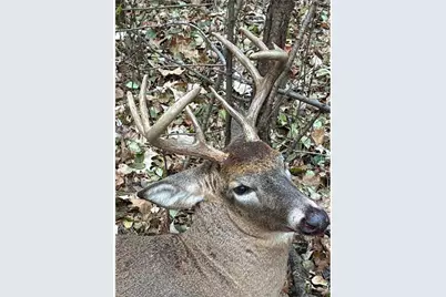 12157 Butternut Road, Brainerd, MN 56401 - Photo 29