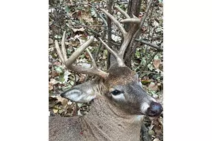 12157 Butternut Rd, Brainerd, MN 56401 - Photo 29