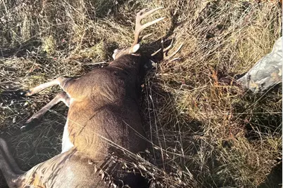 17931 205th Avenue, Little Falls, MN 56345 - Photo 21