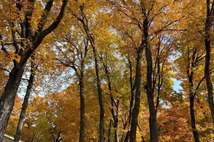 3551 Lilac Ln, Minnetonka, MN 55345 - Photo 53