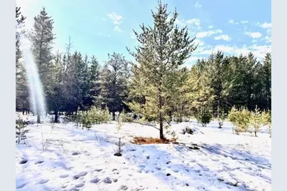 Tbd Pine Cone Dr, Menahga, MN 56464 - Photo 7