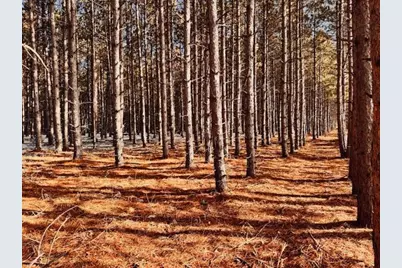 Tbd Pine Cone Rd, Menahga, MN 56464 - Photo 9