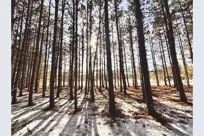Tbd Pine Cone Rd, Menahga, MN 56464 - Photo 5