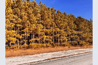 Tbd Pine Cone Rd, Menahga, MN 56464 - Photo 3
