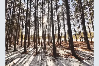 Tbd Pine Cone Rd, Menahga, MN 56464 - Photo 5