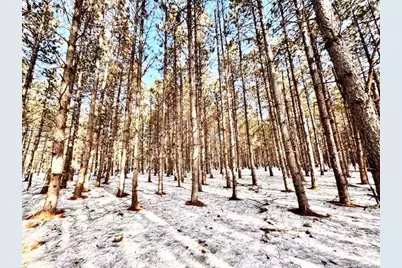 Tbd Pine Cone Rd, Menahga, MN 56464 - Photo 7