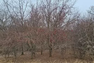 8492 Glory Rd, Yucatan Twp, MN 55943 - Photo 67