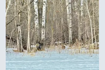 Tbd Minnesota Ave NE, Warroad, MN 56763 - Photo 3