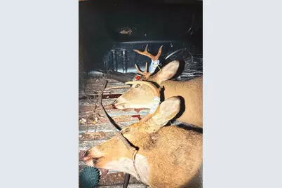 Tbd 205th Avenue, Little Falls, MN 56345 - Photo 11