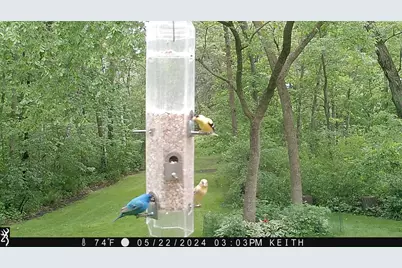 4318 153rd Avenue NE, Ham Lake, MN 55304 - Photo 55