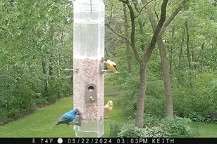 4318 153rd Ave NE, Ham Lake, MN 55304 - Photo 55