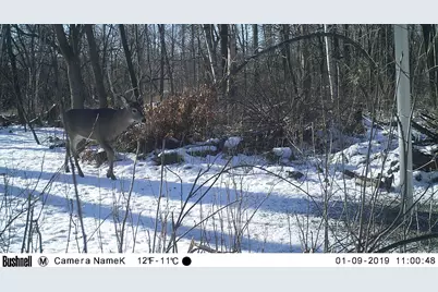 4318 153rd Avenue NE, Ham Lake, MN 55304 - Photo 53