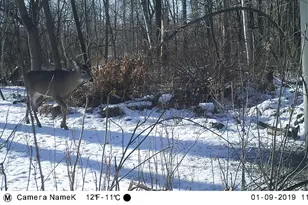 4318 153rd Ave NE, Ham Lake, MN 55304 - Photo 53