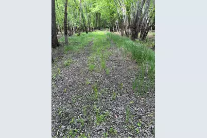 1995 Royal Heights Lane, Braham, MN 55006 - Photo 1