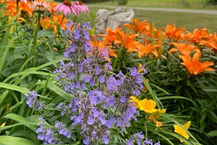 20236 Killdeer St NW, Cedar, MN 55011 - Photo 53