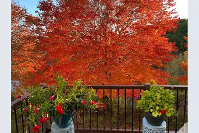 1971 Andrew Court, Chanhassen, MN 55317 - Photo 47