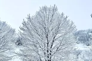 1971 Andrew Ct, Chanhassen, MN 55317 - Photo 41