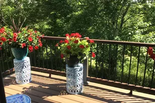 1971 Andrew Ct, Chanhassen, MN 55317 - Photo 43