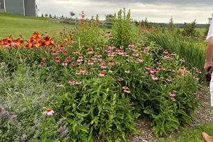 17176 Hilltop Ln SE, Chatfield, MN 55923 - Photo 67