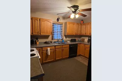 55249 County Road 38, Buffalo Lake, MN 55314 - Photo 3