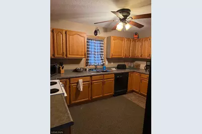 55249 County Road 38, Buffalo Lake, MN 55314 - Photo 3