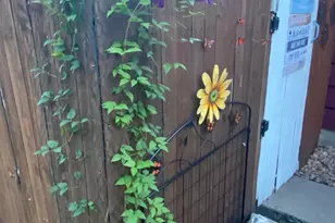 208 E 5th St, Redwood Falls, MN 56283 - Photo 43