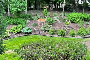 2536 Bridle Creek Trail, Chanhassen, MN 55317 - Photo 51