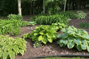 2536 Bridle Creek Trail, Chanhassen, MN 55317 - Photo 49