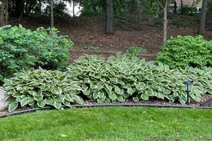 2536 Bridle Creek Trail, Chanhassen, MN 55317 - Photo 53