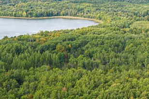 Lot D Sandbar Ln, Merrifield, MN 56465 - Photo 1