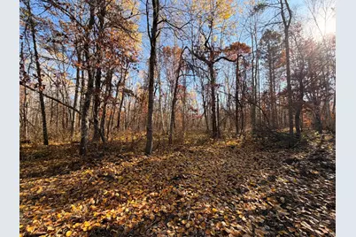 Lot D Sandbar Lane, Merrifield, MN 56465 - Photo 23