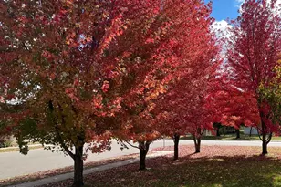 12125 Meadowlark Blvd, Becker, MN 55308 - Photo 37