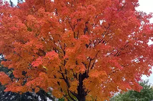 8525 W 97th St Cir, Bloomington, MN 55438 - Photo 29