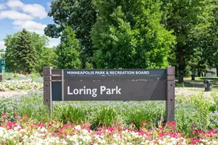 317 Groveland Ave, Minneapolis, MN 55403 - Photo 39