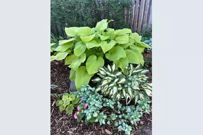 3588 Tiffany Lane, Shoreview, MN 55126 - Photo 23