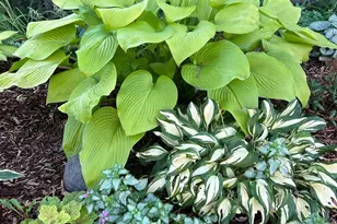 3588 Tiffany Ln, Shoreview, MN 55126 - Photo 23