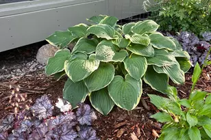 3588 Tiffany Ln, Shoreview, MN 55126 - Photo 25