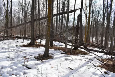 42810 County Highway 26, Rochert, MN 56578 - Photo 23