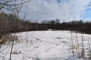 42810 Co Hwy 26, Rochert, MN 56578 - Photo 25