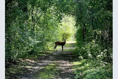 2684 Cherry Lane Court NE, Alexandria, MN 56308 - Photo 25