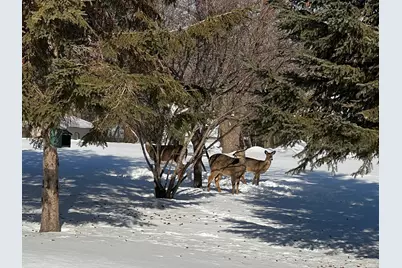 2684 Cherry Lane Court NE, Alexandria, MN 56308 - Photo 31