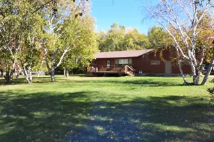 3207 Co Rd 93, Ray, MN 56649 - Photo 1