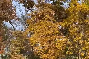 214 Galahad Pl N, Hudson, WI 54016 - Photo 61