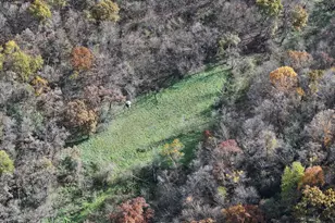 26085 Frank Hill Rd, Winona, MN 55987 - Photo 51