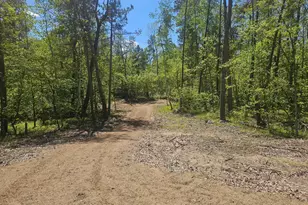 8366 Hidden Creek Ct, Pequot Lakes, MN 56472 - Photo 1