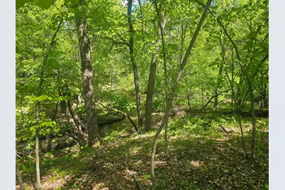 8366 Hidden Creek Court, Pequot Lakes, MN 56472 - Photo 13